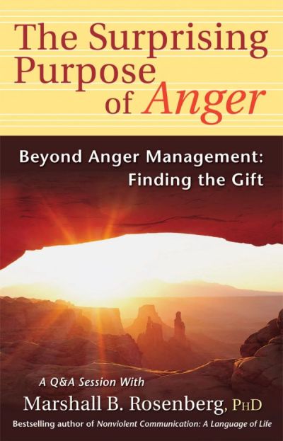 The Surprising Purpose of Anger, front cover